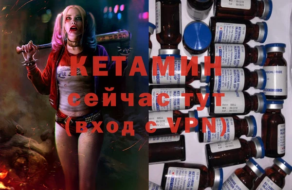 стафф Алексин