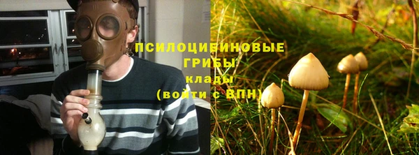 стафф Алексин