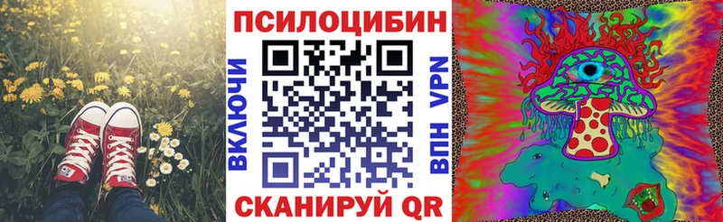 Галлюциногенные грибы мухоморы Шацк