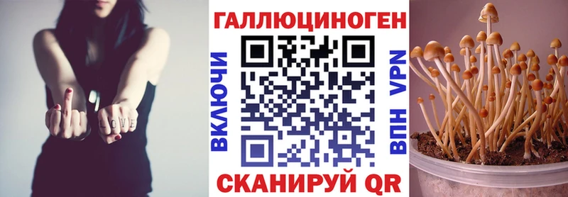 Псилоцибиновые грибы ЛСД  Шацк 